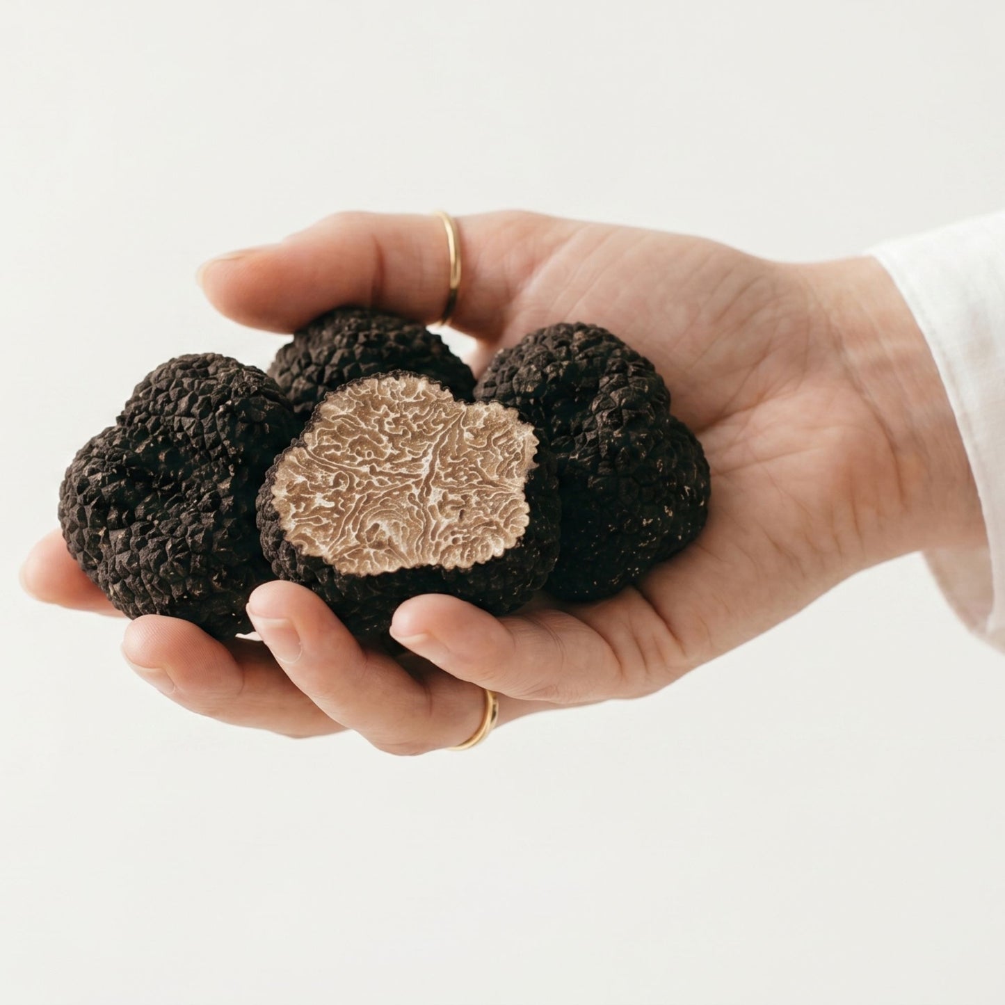 Tartufo Nero Estivo (Scorzone)