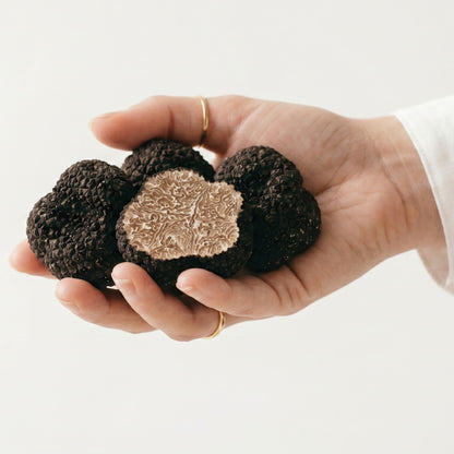 Tartufo Nero Estivo (Scorzone)